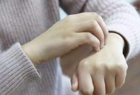 ʡ